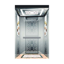 New Arrive Elevatorse Passenger Elevator Hot Selling